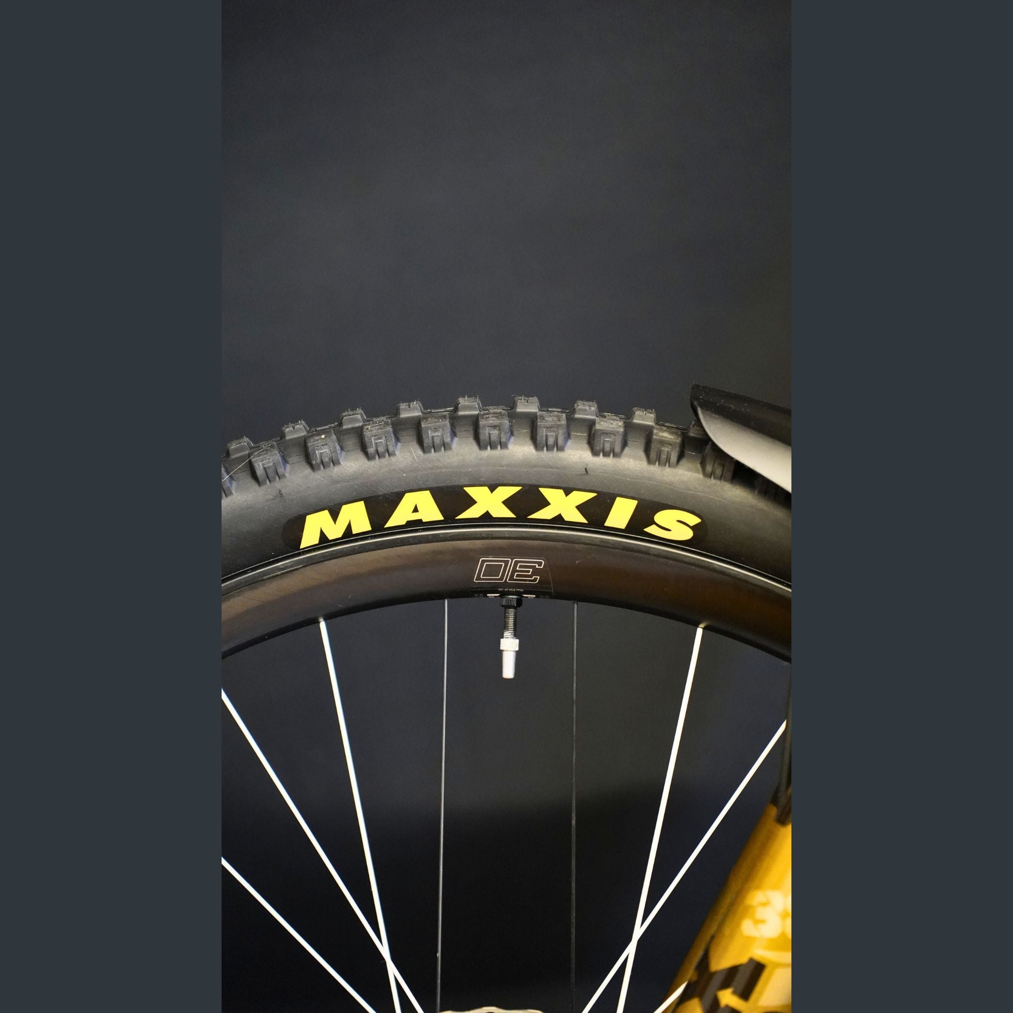 MAXXIS HighRoller [Gen.3] - RISK iT! BIKE CARE